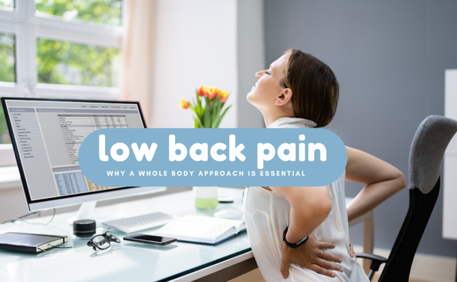 back pain fredericton