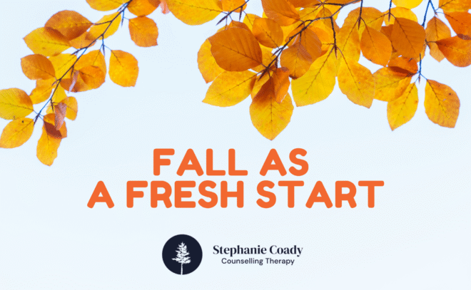 fredericton chiropractor