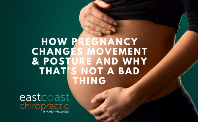 fredericton chiropractor