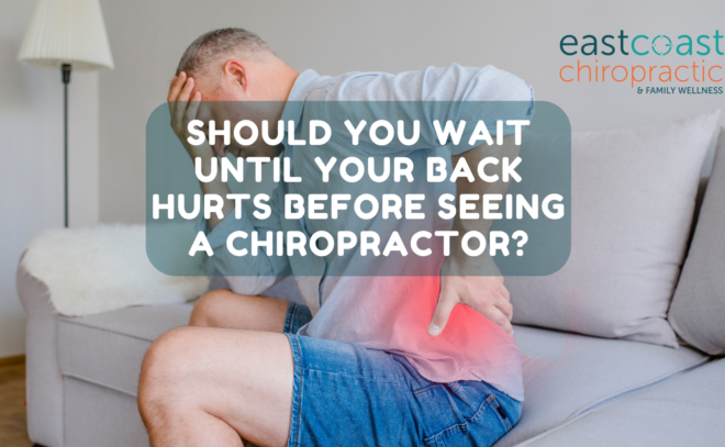 fredericton chiropractor